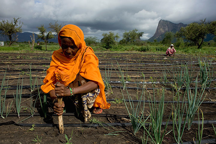Concern Worldwide: four stories about Hunger in Kenya, by Gideon Mendel