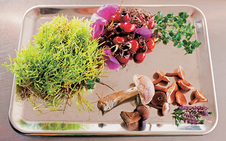 Todd Selby: a day’s foraging 