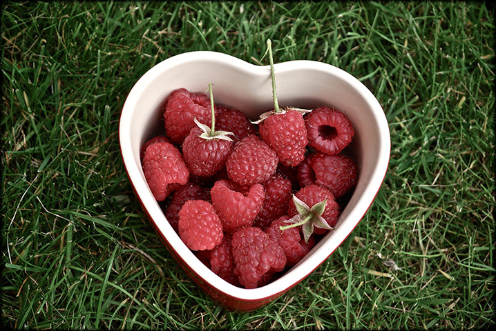 In pictures: In pictures - Harvest