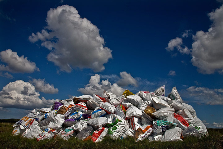 In pictures: In pictures - Harvest