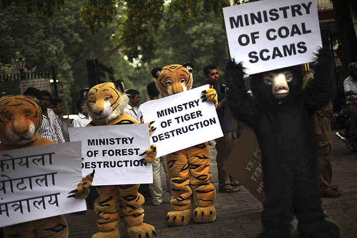 24 hours: New Delhi, India: Greenpeace activists dressed as animals hold placards