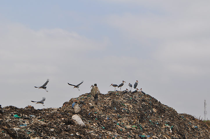 Dandora dump: in Nairobi, Kenya