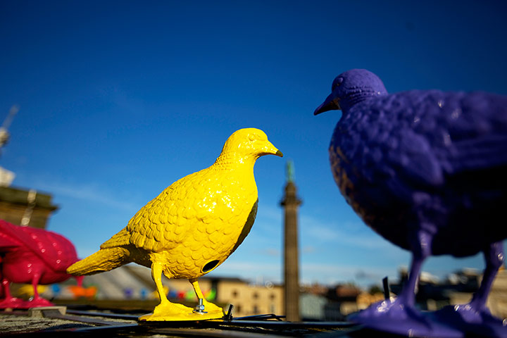 Liverpool biennial: A detail of Patrick Murphy's Belonging on top of the Walker Art Gallery