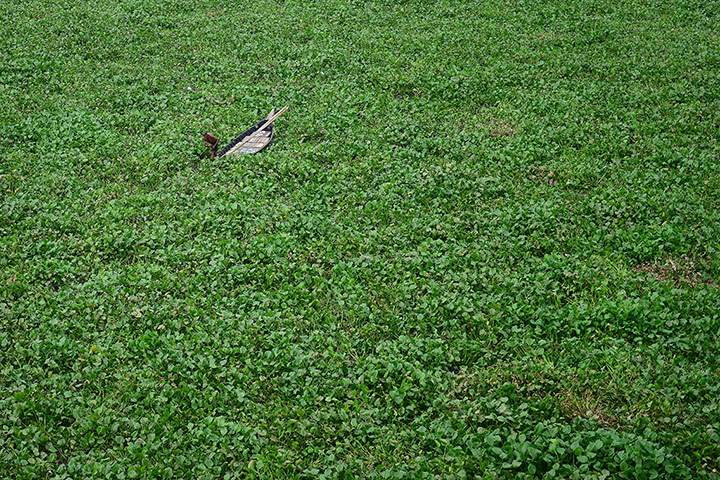 20 photos: A Bangladeshi boatman in Dhaka
