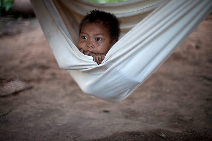 20 photos: A Yanomami Indian boy
