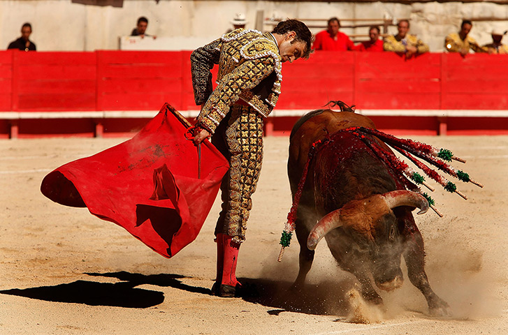 Bullfighter Jose Tomas: Jose Tomas performs a historic solo bullfight 