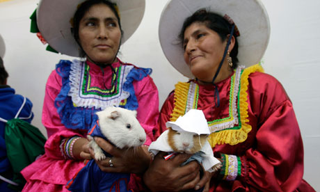 Andean woman in Peruvian guinea pig festival