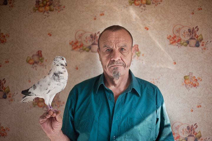 Scottish pigeons: Ex-builder, Dan Dawson 61, has kept horsman thief pigeons