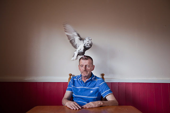 Scottish pigeons: Billy Pryde, 52, sits for a portrait at his home in Niddrie, Edinburgh