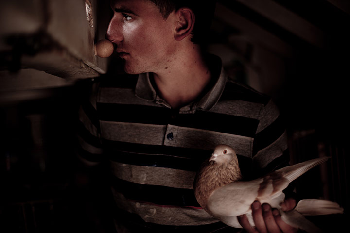 Scottish pigeons: Anton Barclay prepares to release one of his male pigeons