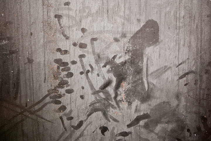 Scottish pigeons: Finger marks in pigeon dust on a doocot door in Restilrig