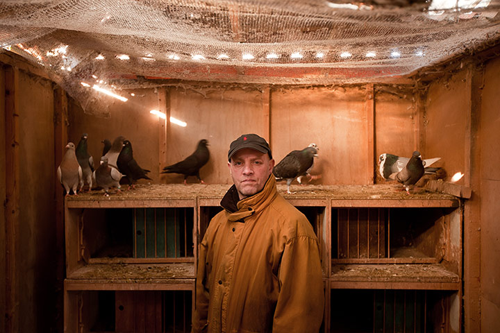 Scottish pigeons: Ian Wilson stands for a portrait inside his hut in Southhouse