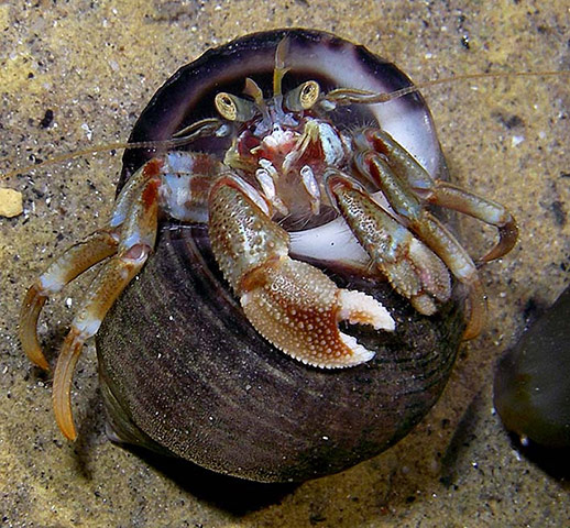 Green shoots: from readers flickr group about beach photography