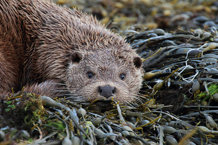 Green shoots: from readers flickr group about beach photography