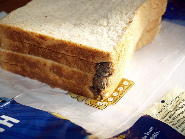 Foreign objects: A mouse in a loaf of Hovis