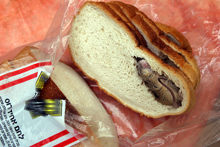 Foreign objects: A small grey mouse lies frozen inside the sliced loaf of bread