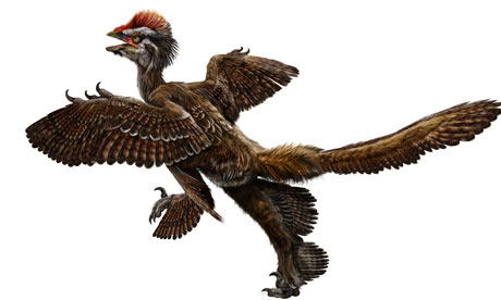Reconstructed image of a feathered dinosaur