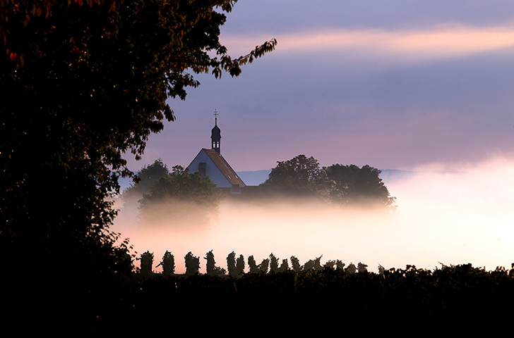 24 hours: Escherndorf, Germany: Morning fog rises from vineyards 