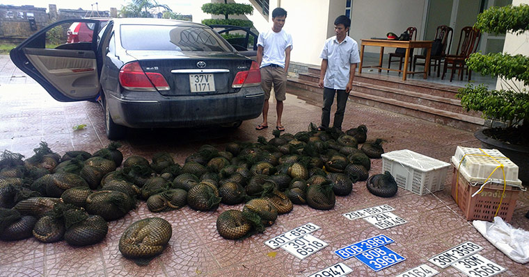 Week in wildlife: Two suspected wildlife smugglers are pic