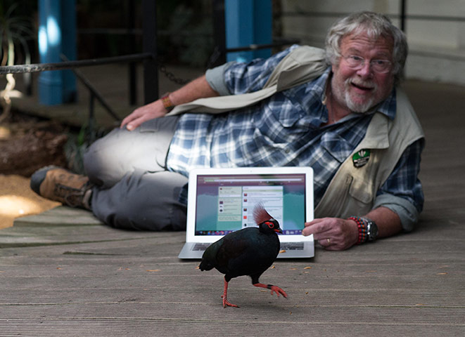 Week in wildlife: Oddie translates tweets on Twitter