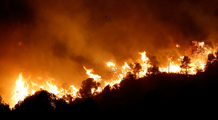 24 hours: Valencia, Spain: Two birds fly over a forest fire in Pedralba