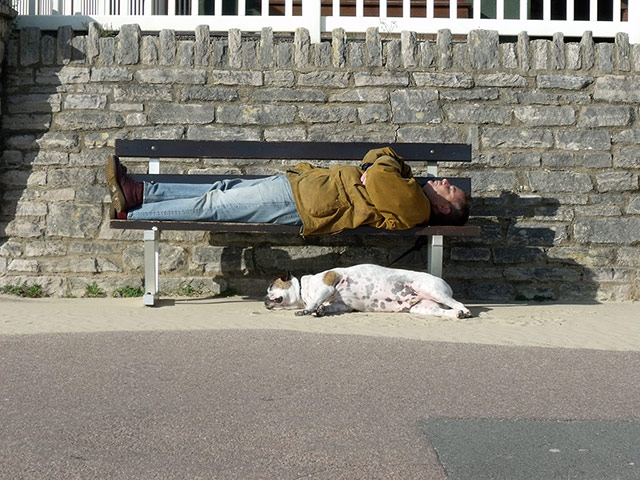 In Pictures - Harmony: 'Man and dog on Bournemouth Promenade.'