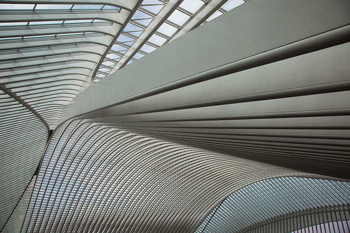 In Pictures - Harmony: 'Stepping onto the platform and looking up at Liege-Guillemins station'