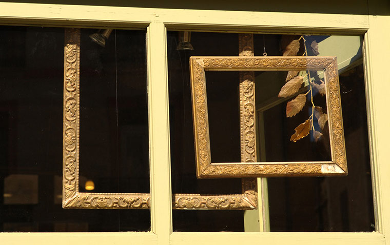 Guardian Camera Club: Teleri Williams participates in framing a subject assignment