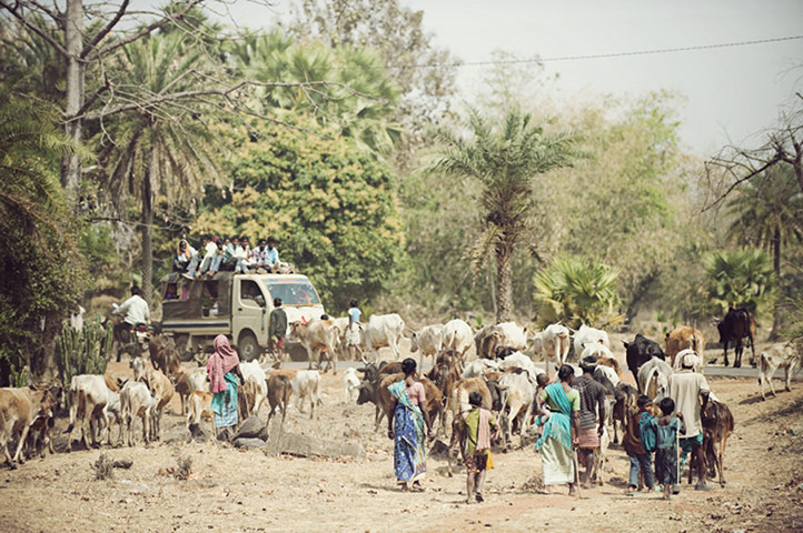 March For Justice: Ekta Parishad march of landless poor from all states of India