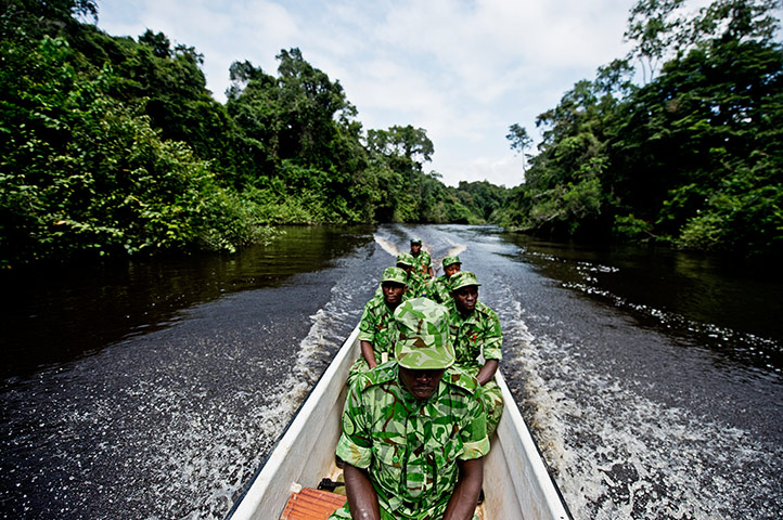 Gabon: War on wildlife crime