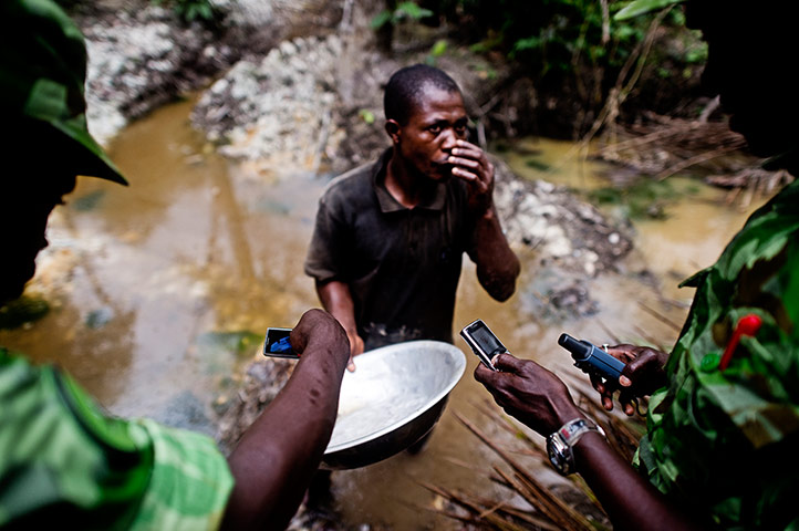 Gabon: War on wildlife crime
