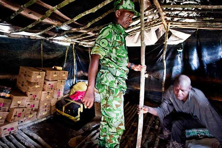 Gabon: War on wildlife crime