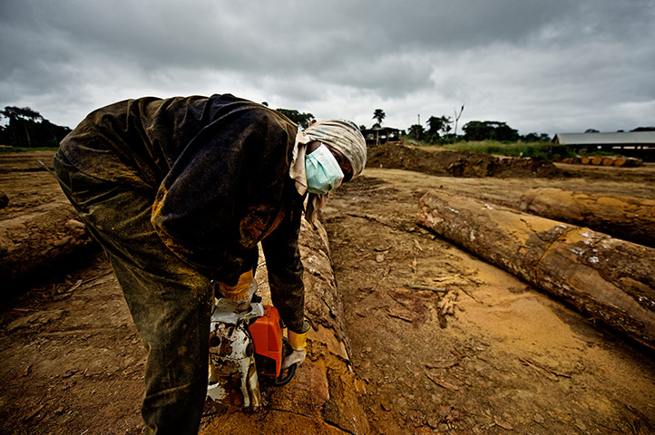 Gabon: War on wildlife crime