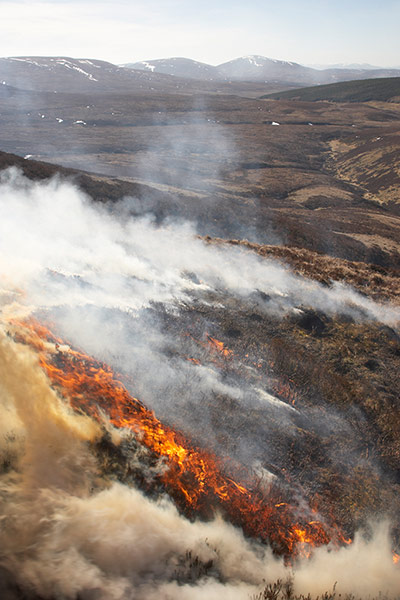 BWPA: 2012 British Wildlife Photography Awards 