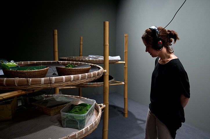 Art of Change: Listening to the Silkworm by Liang Shaoji