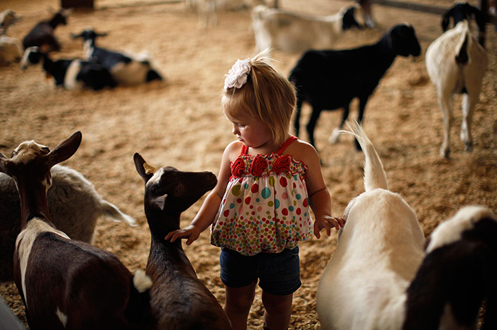 24 hours in pictures: Los Angeles County Fair 