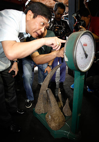 week in wildlife: seized rhinoceros horns during a presentation ceremony in Manila