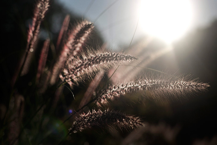 24 hours in pictures: Dawn in Munich