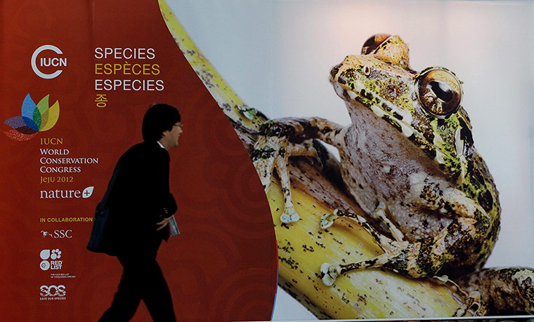 week in wildlife: World Conservatin Congress on International Convertion Center in Jeju