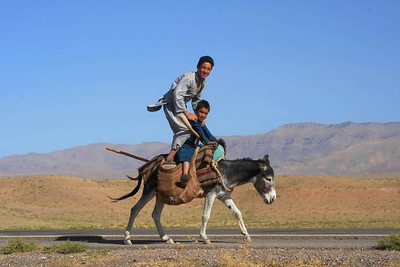 Afghan youths pose as they ride a donkey
