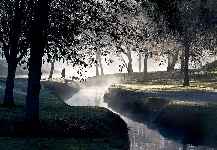 24 hours: Fullerton, California, US: A person walks their dog