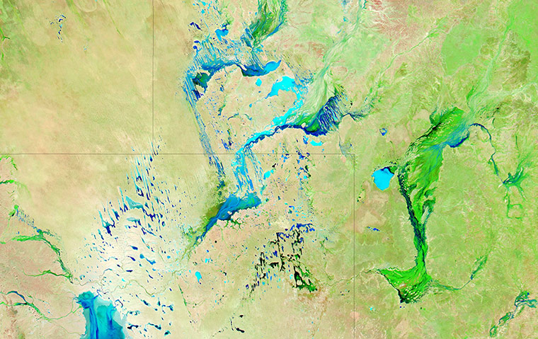 Satellie Eye on Earth: Faraway Rains Change the Channel Country