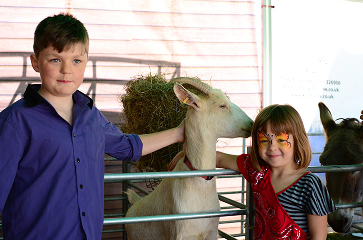 Pinnacle cmty projects: Woking Sheerwater Festival 