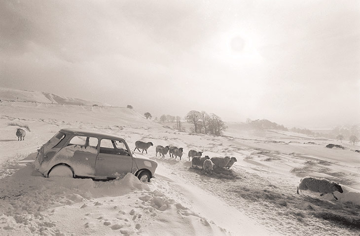 GNM Archive: GNM Archive Don McPhee