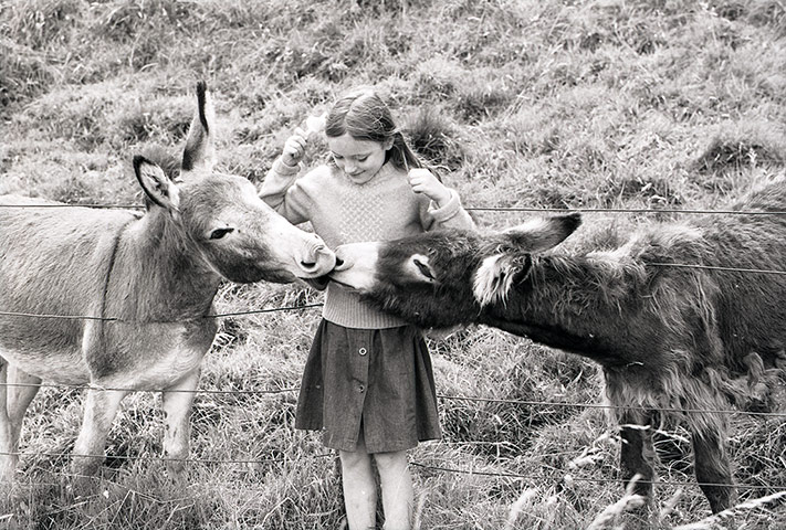 GNM Archive: GNM Archive Don McPhee