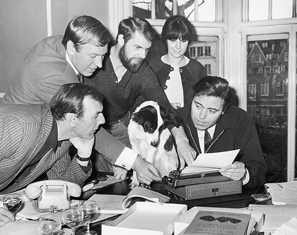 Joy of Six: Heroic Dog