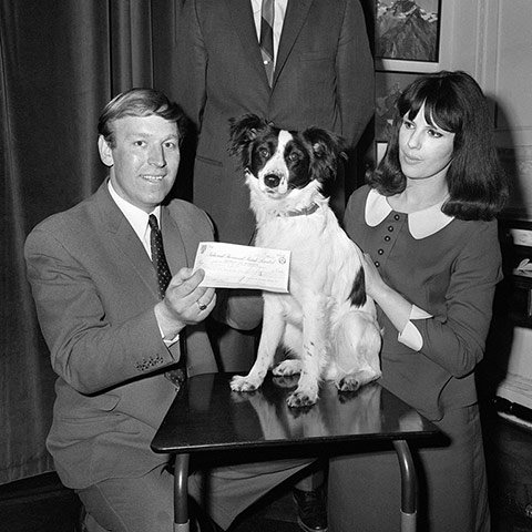 Joy of Six: Pickles with owners Davide and Jeanne Corbett