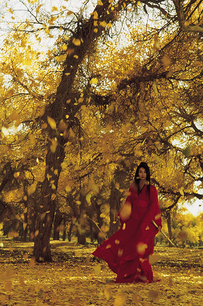 Foreign Films: Hero, 2002