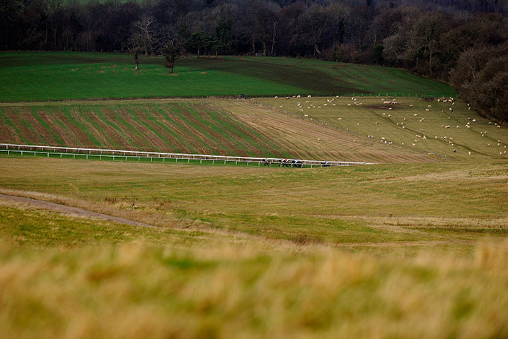Best of the week: Liam Treadwell riding Carrickboy at Chepstow Races