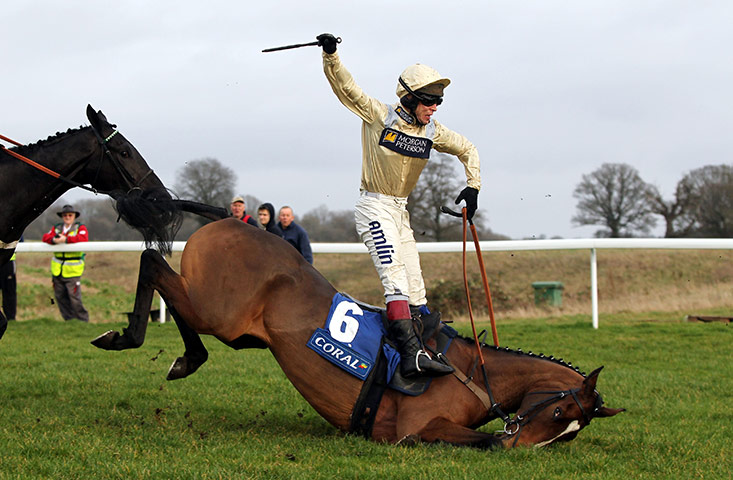 Best of the week: Richard Johnson and Swnymor fall